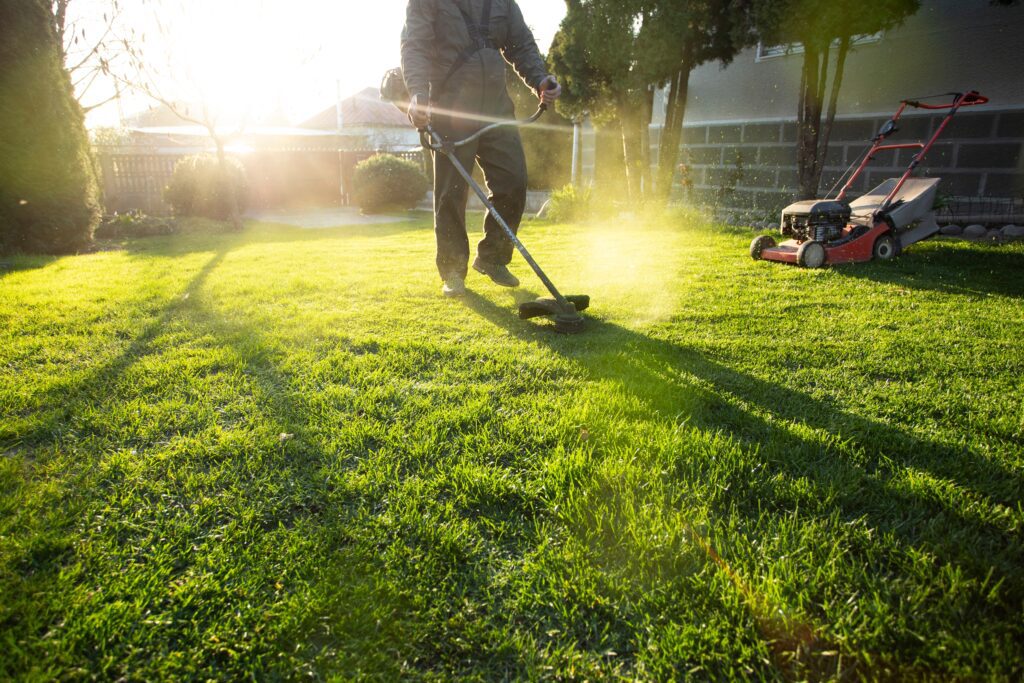 How Does Lawn Care Business CRM Relate to Business Process Management?